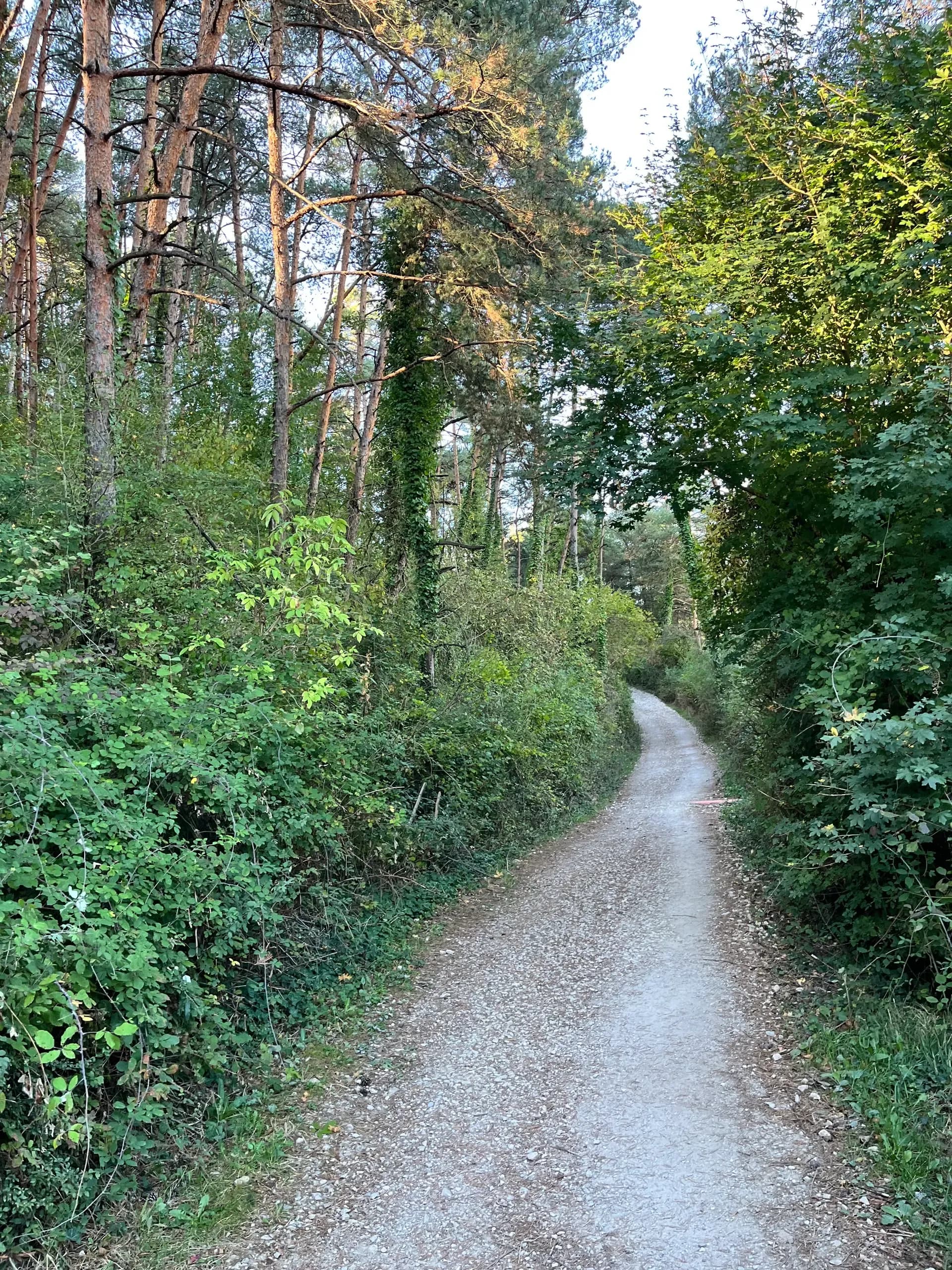 ¿Qué Camino de Santiago elegir? No hay uno mejor, hay uno para ti